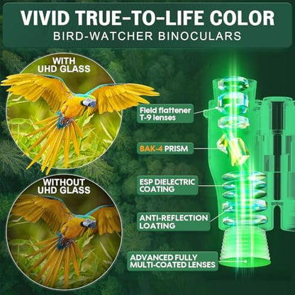 Aurosports 16x32 Compact Binoculars for Adults and Kids - High Powered Small Binoculars with Low Light Vision - Easy Focus Lightweight binos for Bird Watching Hunting Travel Hiking