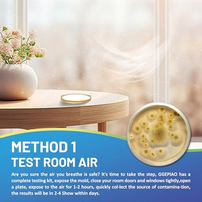 Mold Test Kit for Home,14 Simple Detection Tests,Test HVAC System,Home Surfaces, Indoor Air Quality Testing,DIY Mold Detector,Includes Detailed Mold Identification Guide,Black Mold Testing kit