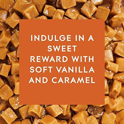 Glade PlugIns Refills Air Freshener, Scented and Essential Oils for Home and Bathroom, Vanilla Caramel Twist, 3.35 Fl Oz, 5 Count