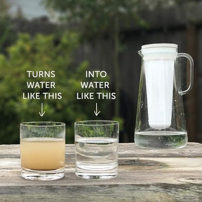 LifeStraw Home – Replacement Membrane Microfilter Filter for protection against bacteria, parasites, microplastics, PFAS and 30+ contaminants