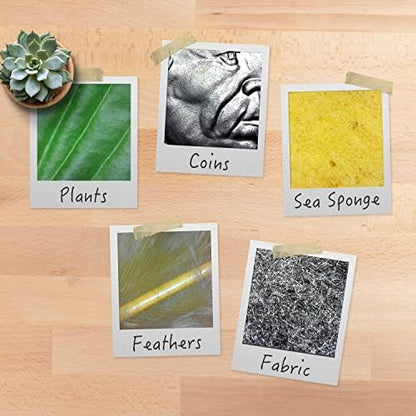 Plugable USB Digital Microscope 250x, 2MP Micro Camera with Flexible Arm Stand - Handheld USB & USB-C Microscope for Adults & Kids, Windows, Mac, ChromeOS, Linux, Android, iPad Compatible