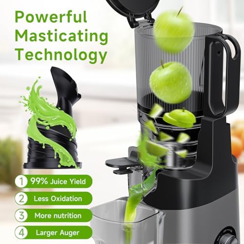 Cold Press Juicer, 5.3" Wide Feed Chute Juice Extractor Machine with 400W, High Juice Yield, Slow Masticating Juicer for Whole Vegetables & Fruits, Deep Grey