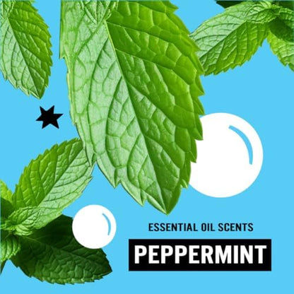 Molly's Suds Liquid Laundry Detergent | Clean Laundry Detergent Soap for Sensitive Skin | 2x Concentrated, High Efficiency (HE) (Peppermint - 200 Loads)