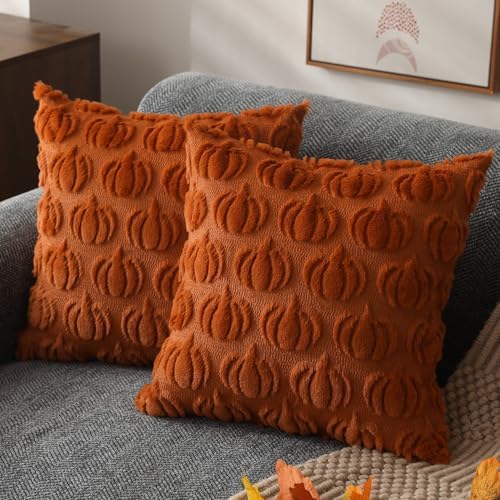 DFXSZ Fall Pillow Covers 20x20 Set of 2 Fall Decorations Autumn Rust Pumpkin Throw Pillow Cases Soft Plush Faux Fur Wool Couch Cushion Case for Chair Sofa Bedroom Living Room Home Decor PTK02A20