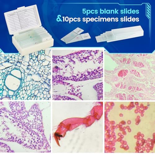 Microscope for Adults Kids 40X-2000X Compound Monocular Microscope for Students School Laboratory Home Education with Slides Set Phone Adapter