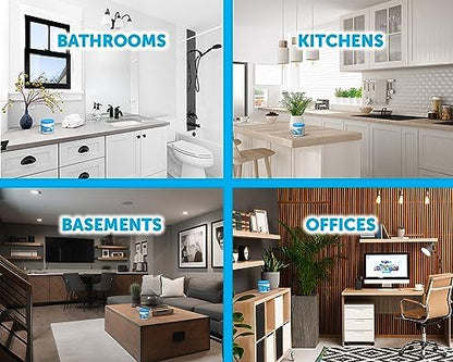 Bright Air 14 oz. Super Odor Eliminator, For Medium-Size Spaces, Cool & Clean Scent, Case of 6,Air Freshener, Natural Essential Oils, Lasts Up to 90 Days Each