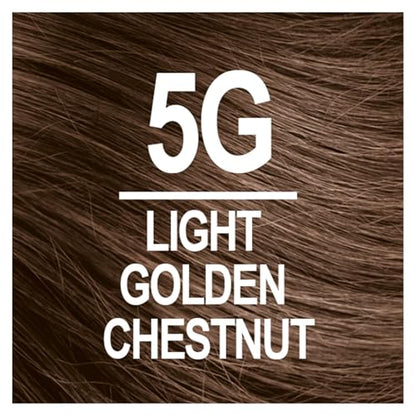 Naturtint 5G Light Golden Chestnut Permanent Hair Color (Pack of 6), Ammonia Free, Vegan, Cruelty Free, up to 100% Gray Coverage, Long Lasting Results (Packaging may vary)