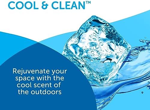 Bright Air 14 oz. Super Odor Eliminator, For Medium-Size Spaces, Cool & Clean Scent, Case of 6,Air Freshener, Natural Essential Oils, Lasts Up to 90 Days Each