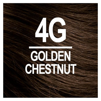 Naturtint 4G Golden Chestnut Permanent Hair Color (Pack of 6), Ammonia Free, Vegan, Cruelty Free, up to 100% Gray Coverage, Long Lasting Results (Packaging may vary)