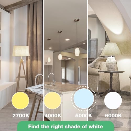 LED Light Bulbs Daylight 5000K, 60 Watt Equivalent LED Bulbs, A19 Standard Bulbs, 800 LM, 15000 Hours, E26 Base, Non-Dimmable, 8W LED Bulbs for Bedroom Living Room 24 Pack
