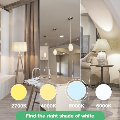 LED Light Bulbs Daylight 5000K, 60 Watt Equivalent LED Bulbs, A19 Standard Bulbs, 800 LM, 15000 Hours, E26 Base, Non-Dimmable, 8W LED Bulbs for Bedroom Living Room 24 Pack