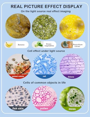 Microscope for Adults WF10x and WF25x eyepieces, 40X-2000X Magnification USB Camera, Microscope for Adults Suitable for Laboratory School Home Education.