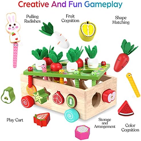 Toddlers Montessori Wooden Educational Toys for Baby Boys Girls Age 1 2 3 Year Old, Shape Sorting Toys 1st One First Birthday Girl Gifts for Kids 1-3, Wood Preschool Learning Fine Motor Skills Game
