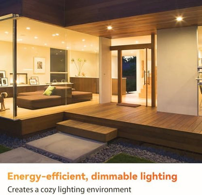 TJOY 12 Pack BR30 Flood Light Bulb Indoor, 65W Equivalent Dimmable Led Recessed Lights Bulb, 2700K Soft Warm White, E26 Base Bulbs for Kitchen Ceiling, Recessed Can, Replacement Incandescent, 9W,800LM