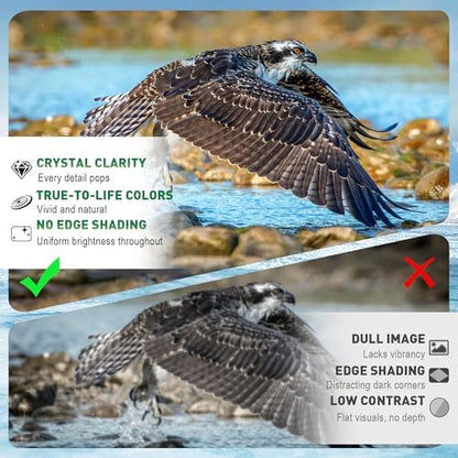 Binoculars for Adults High Powered, 20 x 50 Compact Military HD Large View Binoculars for Bird Watching Travel Hunting Cruise Outdoor Sports with Carrying Case & Strap