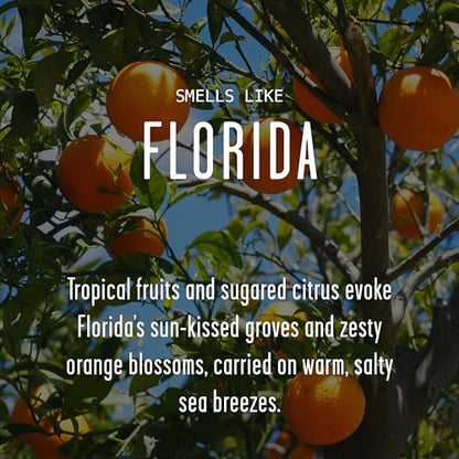 Florida Gifts, Florida Decor for Home - 'There's No Place Like Florida Candle, w/Tropical Fruits & Sugared Citrus I Florida Souvenirs I Florida State Gifts I 9oz Jar, 50Hr Burn, USA Made