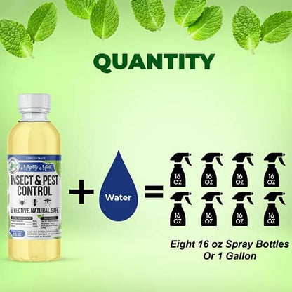 Mighty Mint Peppermint Oil Insect Repellent Concentrate– Natural Indoor & Outdoor Bug Control for Spiders, Ants, Roaches, and More – Plant-Based, Extra-Strong Formula - 8 oz