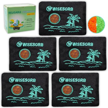 100g x 5pcs Rechargeable Desiccant Packs, Reusable Car Dehumidifier Bags Color Indicating Silica Gel Packets Moisture Absorbers for Storage Bins, Suitcase, Safe, 3D Filaments, Electronics