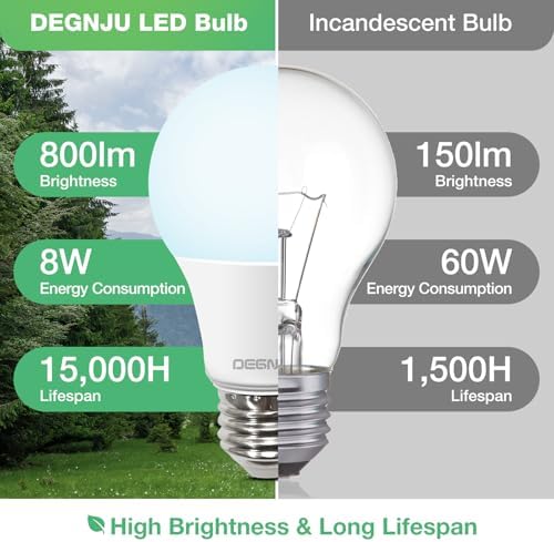 LED Light Bulbs Daylight 5000K, 60 Watt Equivalent LED Bulbs, A19 Standard Bulbs, 800 LM, 15000 Hours, E26 Base, Non-Dimmable, 8W LED Bulbs for Bedroom Living Room 24 Pack