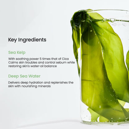 BIODANCE Refreshing Sea kelp Real Deep Mask, Overnight Hydrogel Mask, Calming, Oil & Sebum Control, Blemish Care 1.19oz(34g) x 4ea