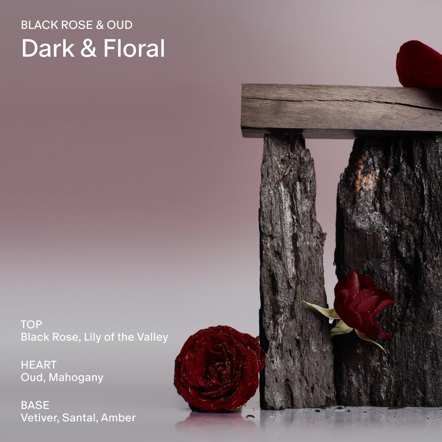 SALT & STONE Aluminum Free Deodorant | Extra Strength 48 Hour Protection for Women & Men | Made with Seaweed Extracts, Shea Butter & Prebiotics (Black Rose & Oud)