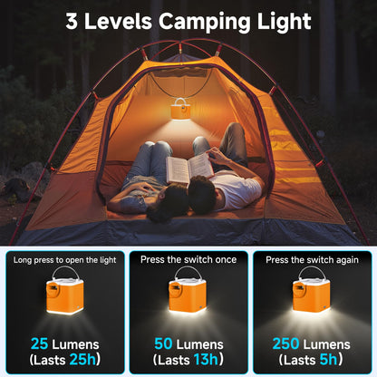Portable Air Pump for Inflatables, 4.5kPa Mini Air Mattress Pump with Camping Light, 2400mAh Battery Rechargeable Air Pump for Pool Floats, Sleeping Pads, Swimming Ring, Vacuum Storage Bags, Orange