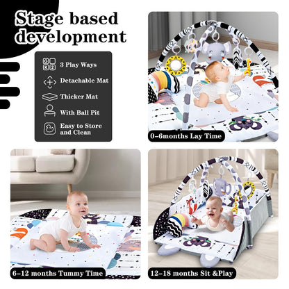 TFDER Baby Gym Play Mat, 8-in-1 Tummy Time Mat & Activity Gym, Washable Ball Pit, Infant Play Mat with Detachable Toys for Sensory Exploration and Motor Skill Development