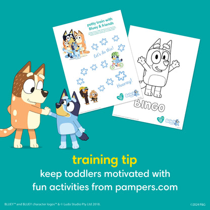 Pampers Training Pants - Easy Ups Boys & Girls Bluey - Size 2T-3T, 74 Count, Children's Potty Underwear (Packaging May Vary)